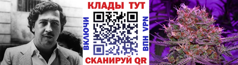 Купить Дмитриев Кокаин Меф мяу мяу А ПВП Бошки Шишки