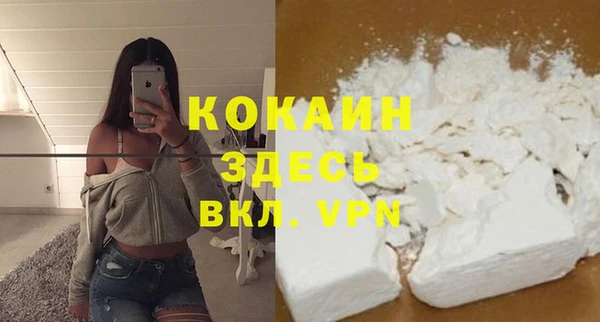 дживик Алексеевка