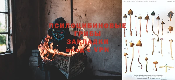 дживик Алексеевка