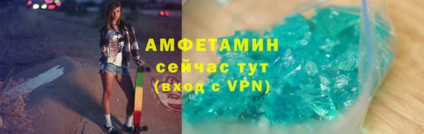 гидропоника Алзамай