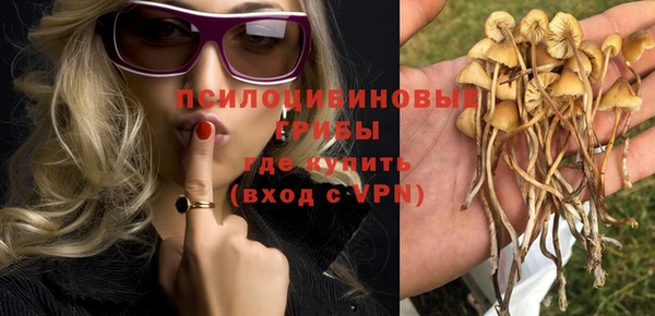 дживик Алексеевка